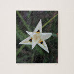 April 30 Garden Flower Puzzle