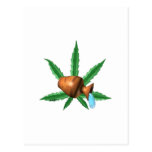 Aquarius zodiac cannabis leaf post card
