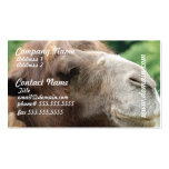 Arabian Camel Business Cards