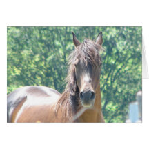Arabian Distinguished Gentleman Photo-1 Greeting Cards