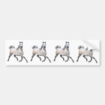 Arabian Horse - Alia Bumper Stickers