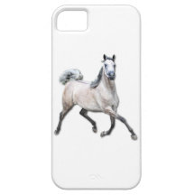 Arabian Horse - Alia iPhone 5 Cases
