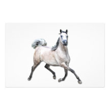 Arabian Horse - Alia Stationery