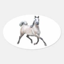 Arabian Horse - Alia Sticker
