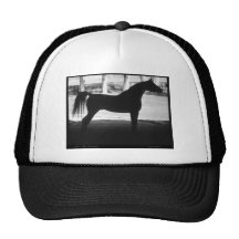 Arabian Horse Silhouette Black and White Hats