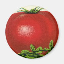 Arcadia Beauty Tomatoes, Vintage Fruit Crate Label Magnet