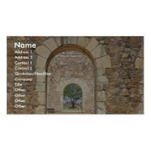 Arched Doors At The Old Fort Business Cards
