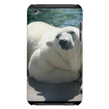 Arctic Polar Bear iTouch Case Case-Mate iPod Touch Case