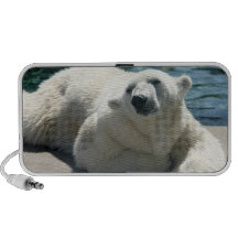 Arctic Polar Bear Speakers