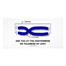 Are You At The Centromere Or Telomere Of Life? Picture Card