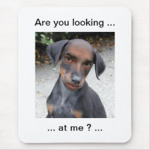 are you looking at me funny dog mousemat