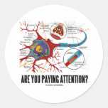 Are You Paying Attention? (Neuron Synapse Humour) Stickers
