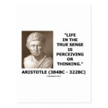 Aristotle Life True Sense Perceiving Or Thinking Post Card