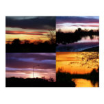 arizona after dark postcard