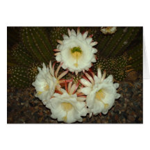 Arizona Note Card