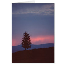 Arizona Sunset Card