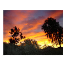 Arizona Sunset Post Card