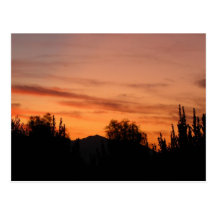 Arizona Sunset Postcard