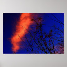 Arizona Sunset Posters