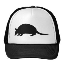 Armadillo Mesh Hat