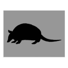 Armadillo Postcards