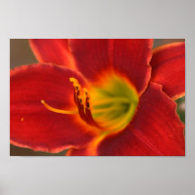 Art by Augle, Print