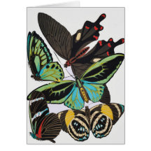 art deco butterflies greeting card