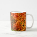 Art Mugs Fall Foliage mugs