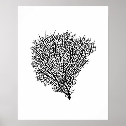 Art print, black coral fan on white poster | Zazzle