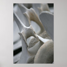 Art Print: Whale Vertebrae