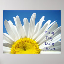 Art Prints gifts Sunny Day Daisy Flower artwork