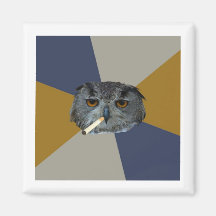 Art Student Owl Advice Animal Meme Magnets