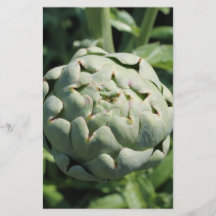 Artichoke and Leaves. Flyer Design