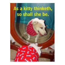 As a kitty thinketh... postcard
