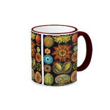 Ascidiacea (Sea Squirts), Ernst Haeckel Mug