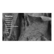 Ash Business Card