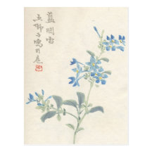 Asian Blossoms Vintage Postcard