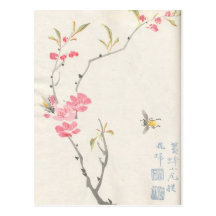 Asian Blossoms Vintage Postcard