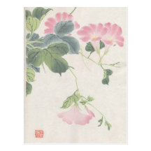 Asian Blossoms Vintage Postcard