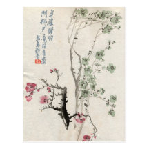 Asian Cherry Blossoms Vintage Postcard