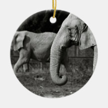 Asian Elephant Ornament