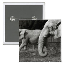 Asian Elephants Square Pin
