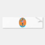 aslan america auto sticker
