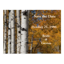 Aspen Alley In Fall Orange Wedding Postcards