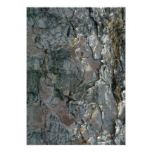 Aspen bark personalized announcements
