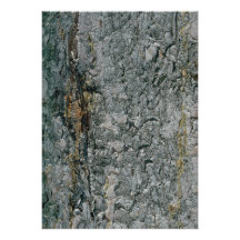 Aspen bark, yellow and grey personalized invite