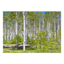 Aspen Grove 2 Announcement