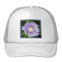 Aster Blue Daisy Hat