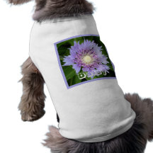 Aster Blue Daisy Pet T Shirt