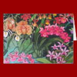 At the Orchid Show Greeting Card cards